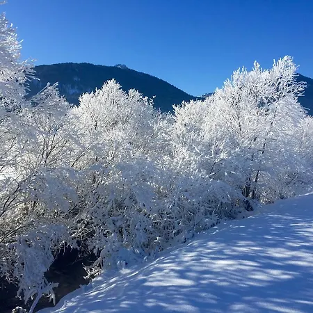Haus Herzog Appartement Tröpolach