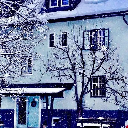 Haus Herzog Appartement Tröpolach